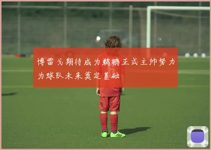 博雷戈期待成为鹈鹕正式主帅努力为球队未来奠定基础