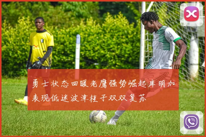 勇士状态回暖老鹰强势崛起库明加表现低迷波津桂子双双复苏